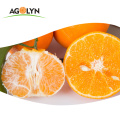 Goût doux Haute vitamine C orange frais / mandarine WO